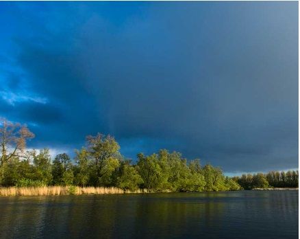 foto: Staatsbosbeheer Biesbosch