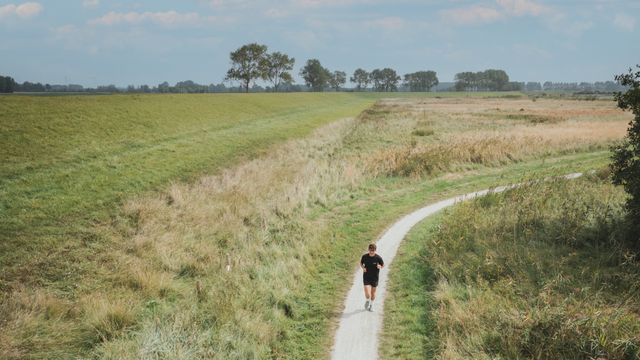 Luchtfoto van een hardlopende tim bij de Slikken van Flakkee