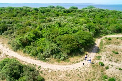 duinen
buitenweer