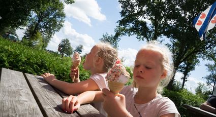 Foto door Theo de Witte (4862 beeldbank).