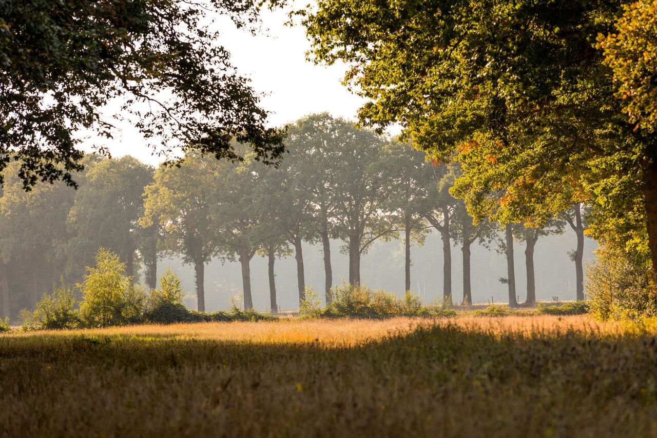 Landgoed de Utrecht