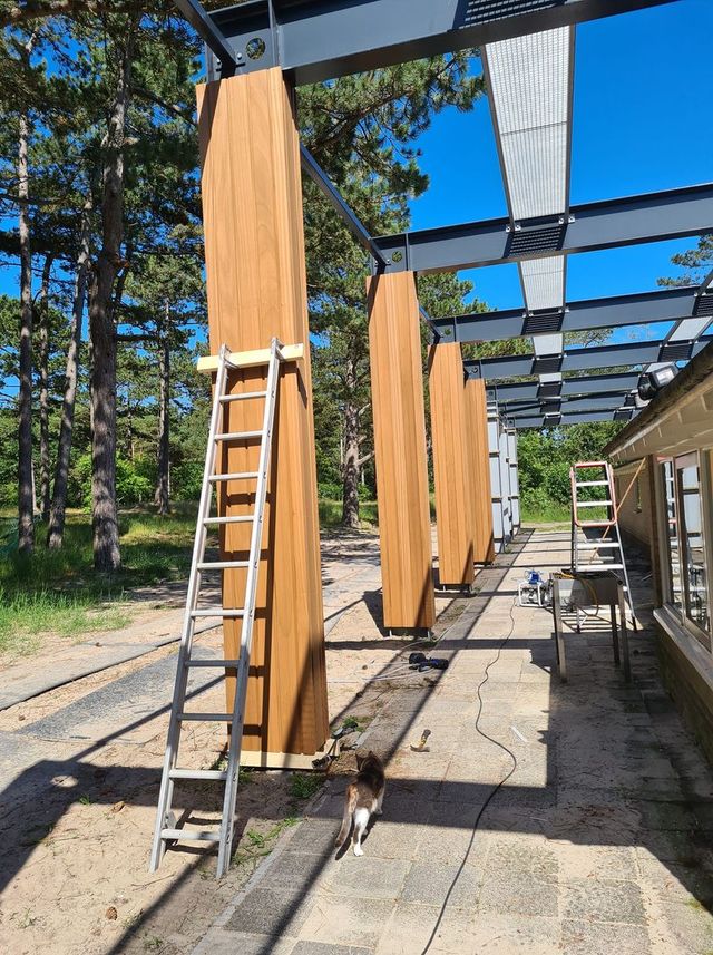 Ziltgetint op Vlieland