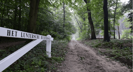 Het Luntersche Buurtbosch
