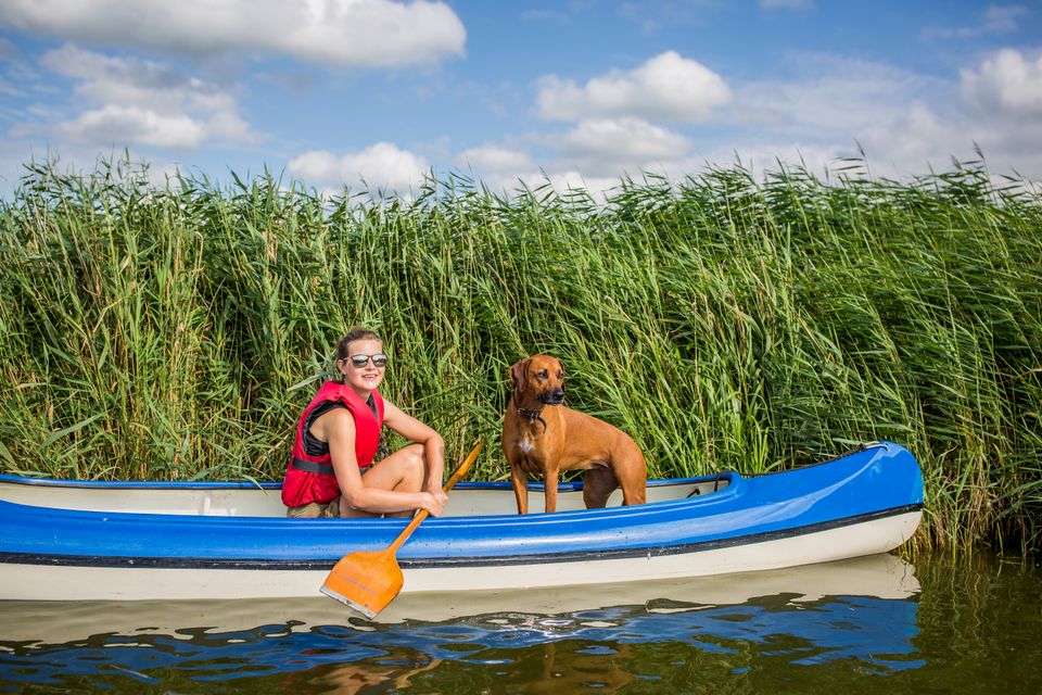 Hond met eigenaar in de kano bij het riet