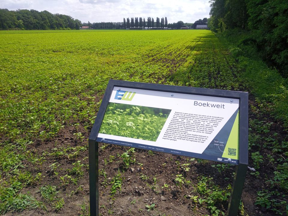 De Eerste Wijk Veenhuizen