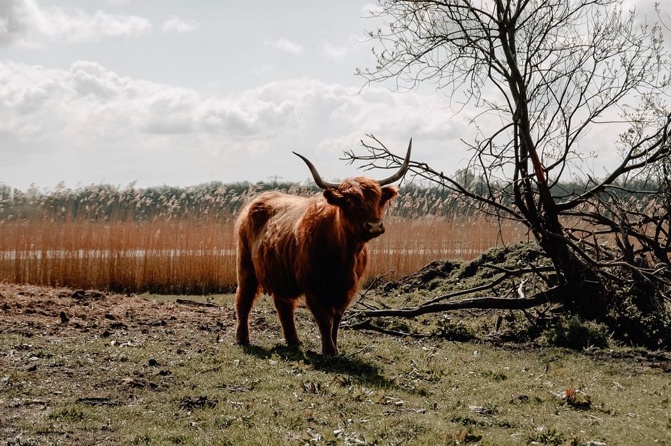Marit-Laag-Holland-Blogtrip
