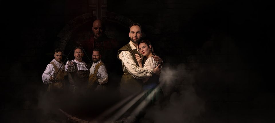 Programmering van Theater de Lievekamp