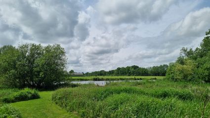 Uitzicht en zwemvijver Land van Een