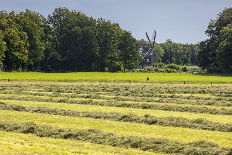 Molen Ruinen