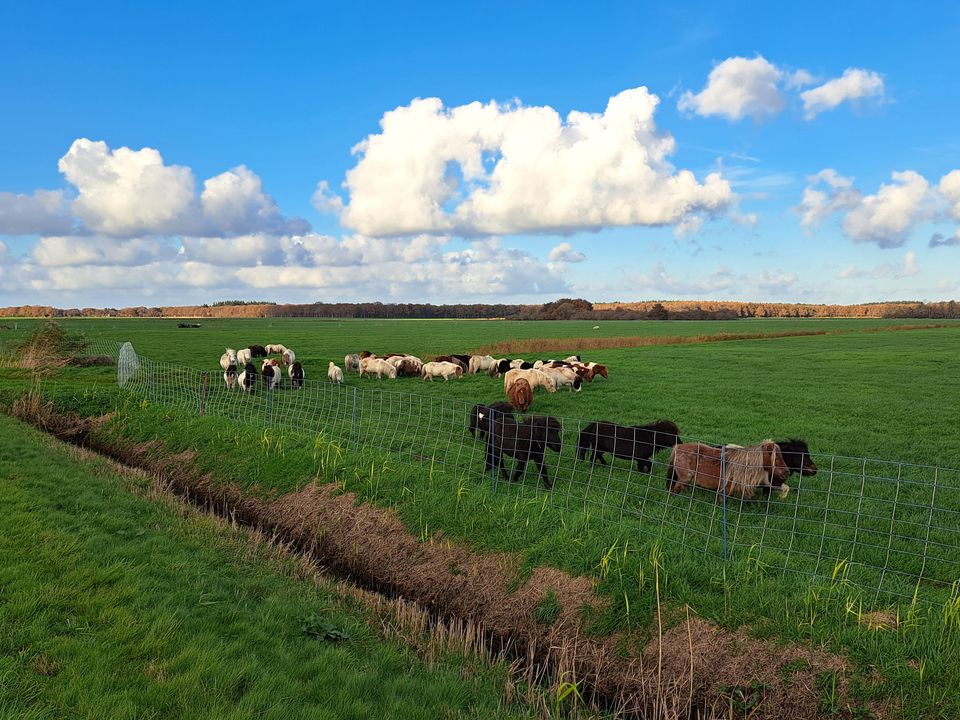 Oldeberkoop Donkerbroek | Canadian Trail oost-Fryslân: Etappe 1