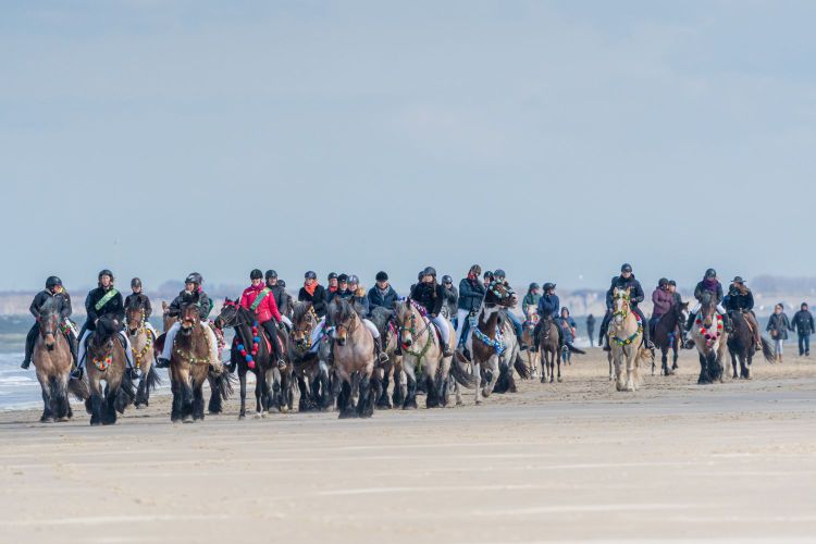 Strao Renesse