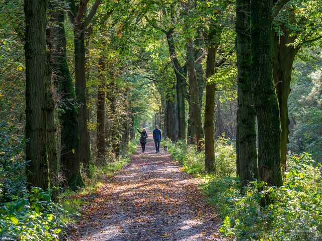 Twee mensen wandelen met hond in de herfst in het bos van Sint Nicolaasga