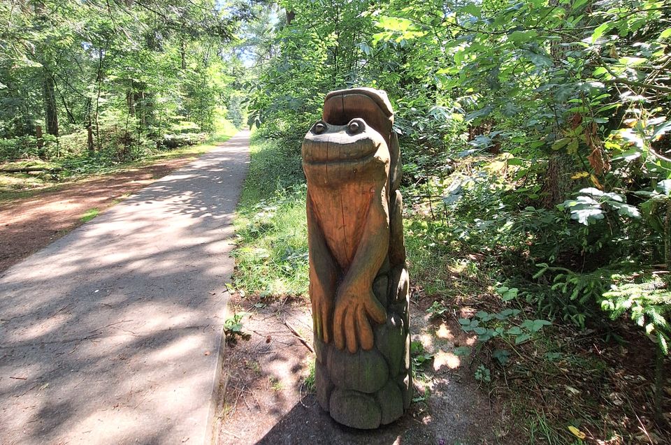Familiepad Drents-Friese Wold