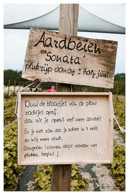 Keet aan zee