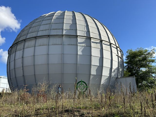Stingerbol Ede