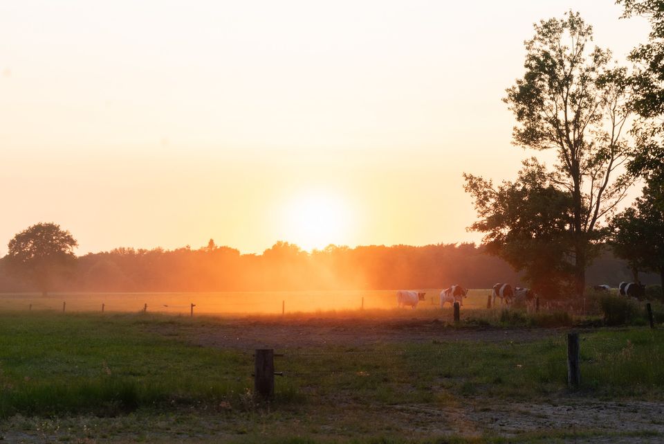 Landschapsfoto met ondergaande zon.