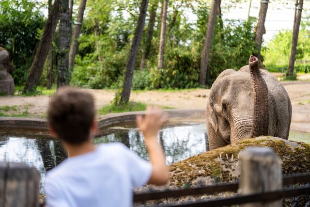 Jongetje bij olifant in dierenpark Burgers' Zoo in Arnhem