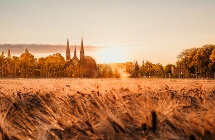 De abdij bij zonsondergang.