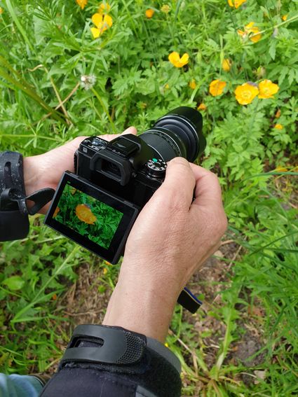 Workshop Natuurfotografie