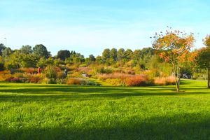 De Vlinderhof is een bijzondere tuin in de Binnenhof van Máximapark. Bijzonder omdat hij ontworpen is door Piet Oudolf, én bijzonder omdat het hier gaat om een bewonersinitiatief.