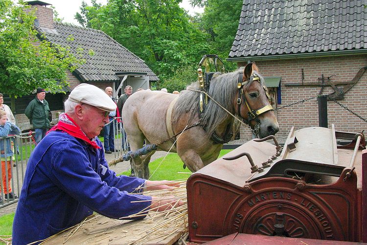 Dorsen bij het Jan Visser Museum