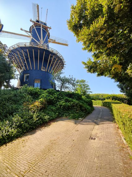 De karakteristieke Molen de Windhond in Woerden, omringd door groen en bereikbaar via een sfeervol wandelpad in het Groene Hart.