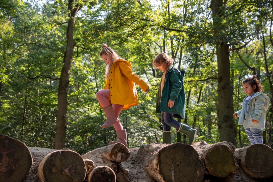 Kinderen lopen in het bos over boomstammen.