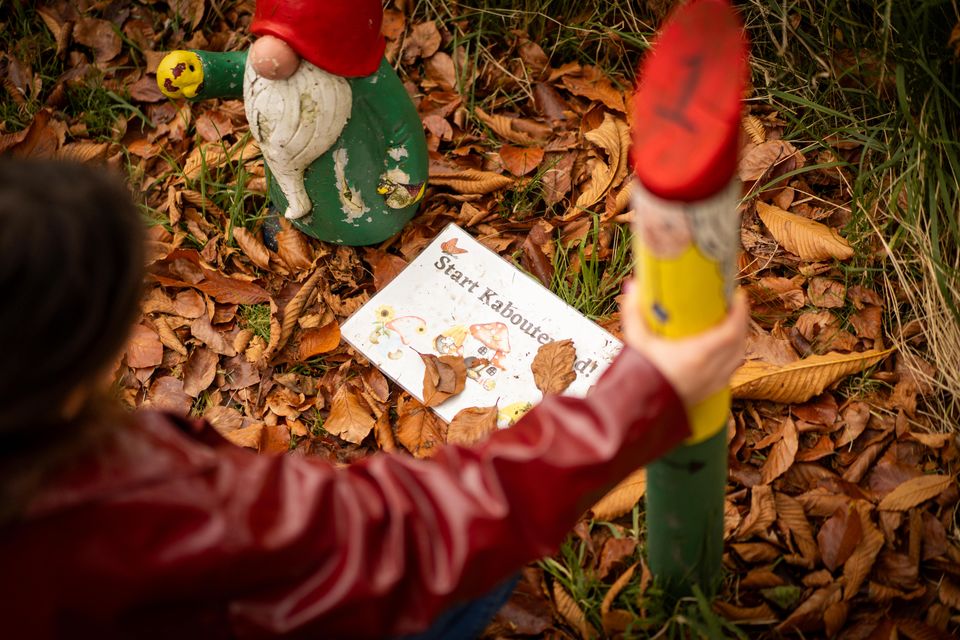 Paaltje in het bos