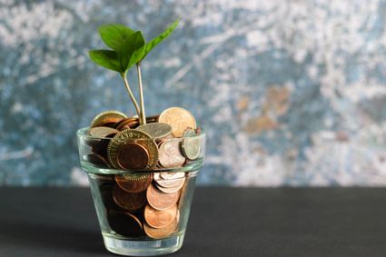 Plant growing out of coin jar.