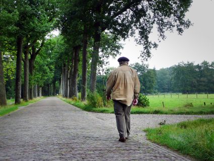 Louis Le Roy maakt een wandeling voor zijn huis aan de prins Bernhardweg in Oranjewoud (1996)