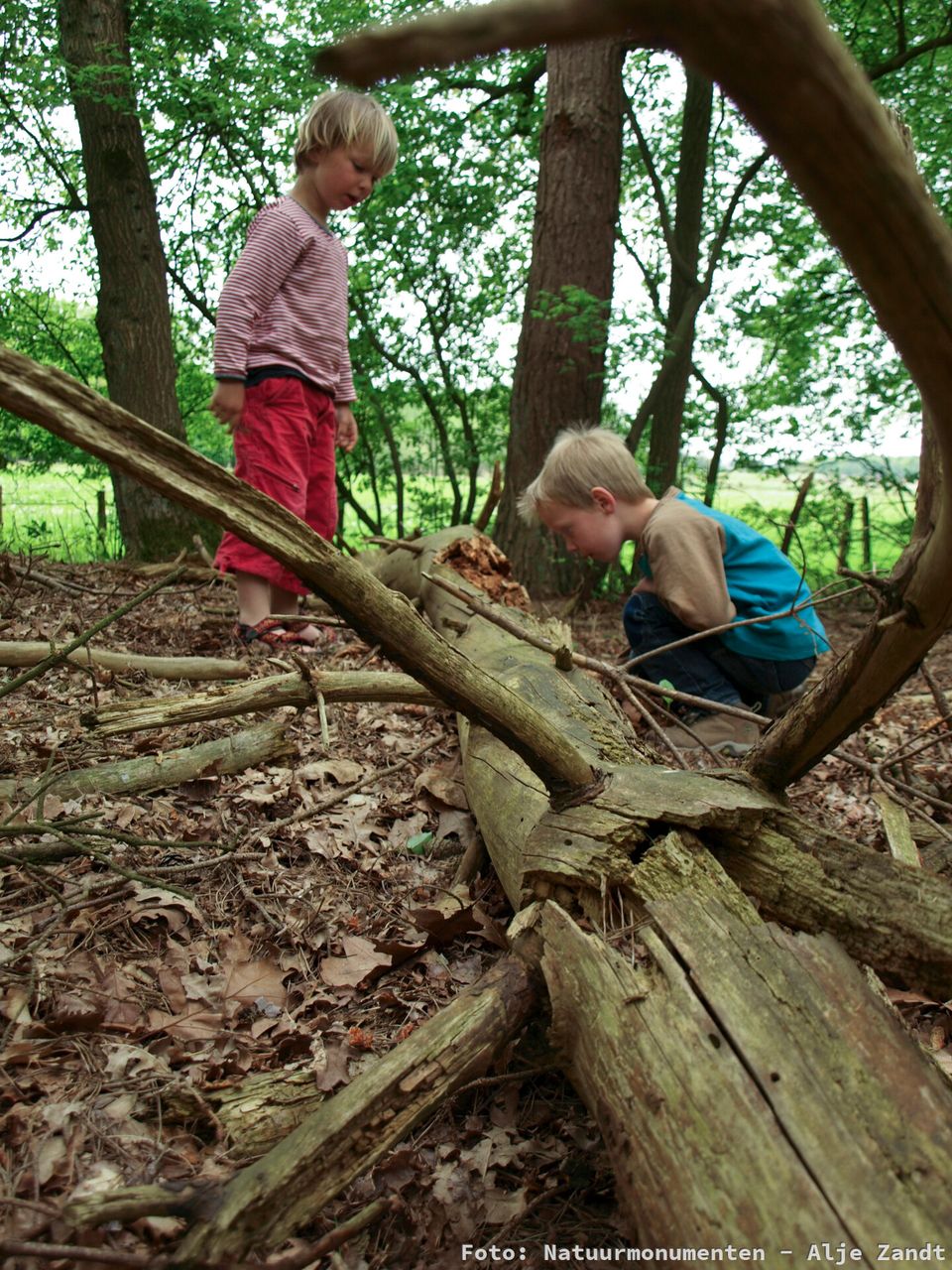OERRR Natuurontdektocht Dwingelderveld