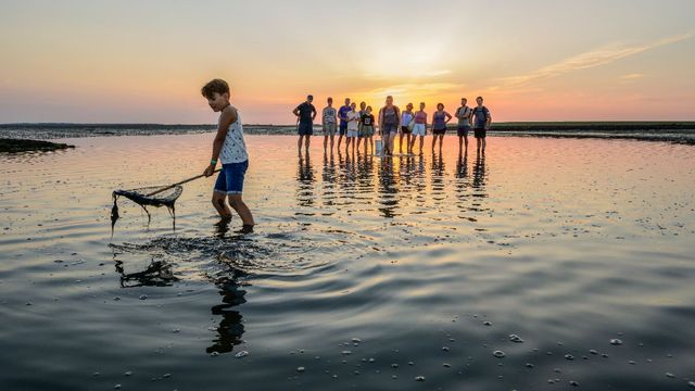 Gouden uur wadexcursie met de Waddenvereniging