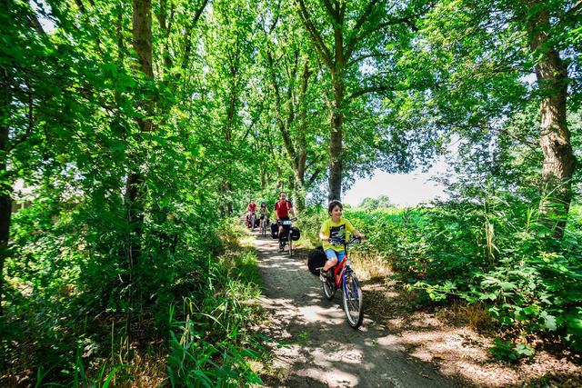 Gezin fietst over een onverhard pad door een groen bos op de Utrechtse Heuvelrug. De foto laat recreatief fietsen in de natuur zien, met veel groen en een ontspannen sfeer.