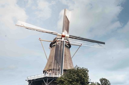 Korenmolen De Valk Montfoort, Groene Hart, historische windmolen met rieten romp en draaiende wieken, bezoekers staan op de stelling en genieten van het uitzicht bij deze monumentale molen.