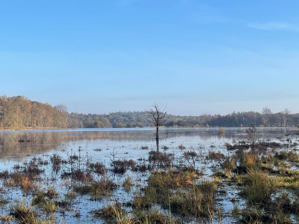 Uitzicht over Leersumsche Plassen bij het Leersumse Veld