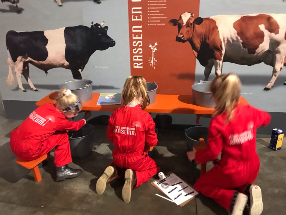 Tijdens de workshop worden al je zintuigen geprikkeld en kan je proefjes doen.