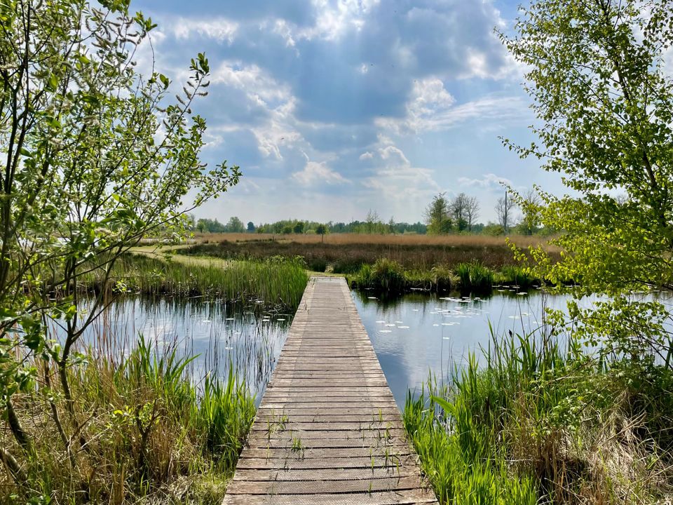 de Alde Feanen - it Wikelslân