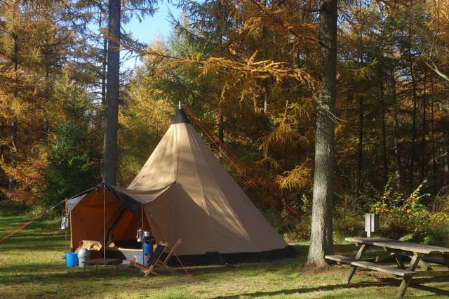 Een tipitent in het bos.