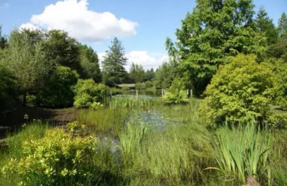 natuur