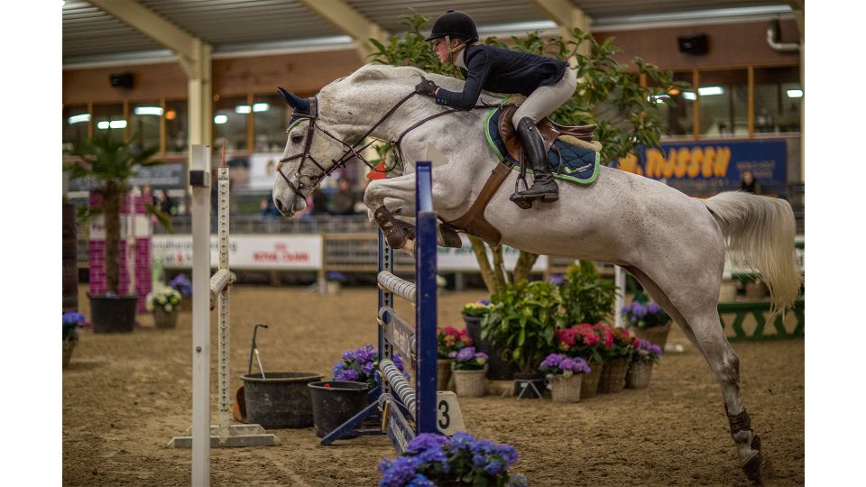 Springwedstrijden voor paarden en selectiewedstrijden springen paarden. Leuk om naar te kijken