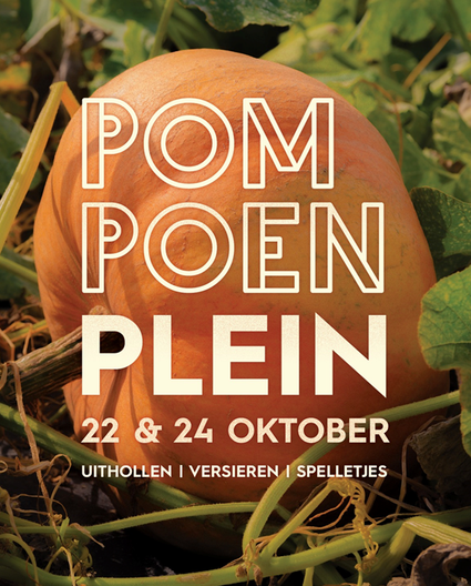Pompoenplein bij Buitenpost