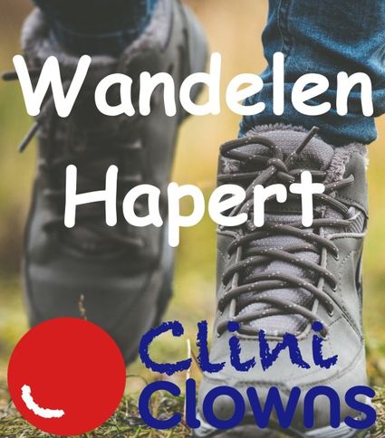 Wandelen voor de Clini Clowns