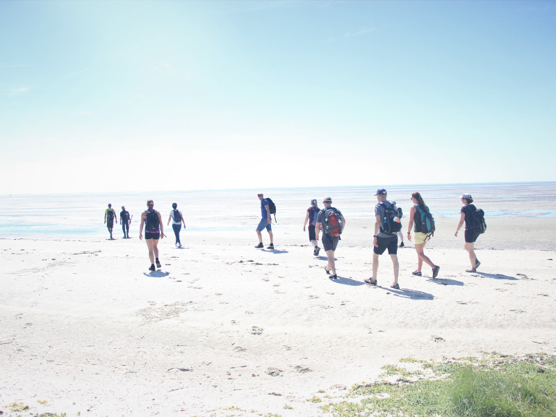 Waddenzwerftocht met lokale Amelander