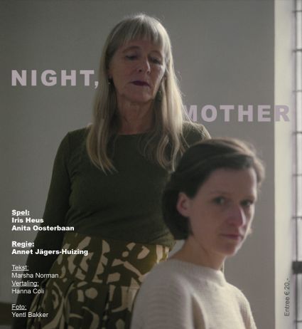 Night Mother poster van de voorstelling
