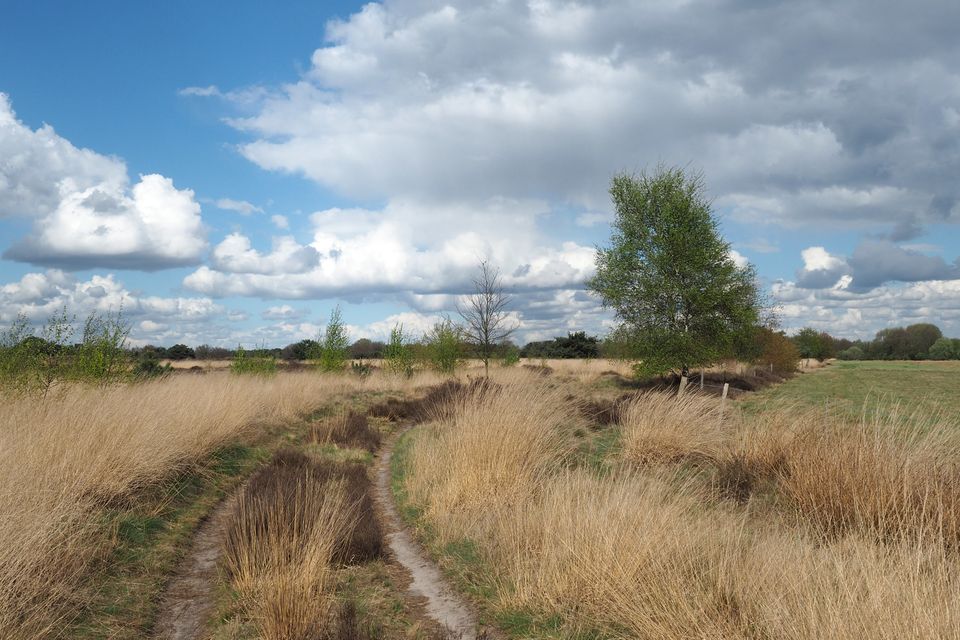 foto Gastelse heide