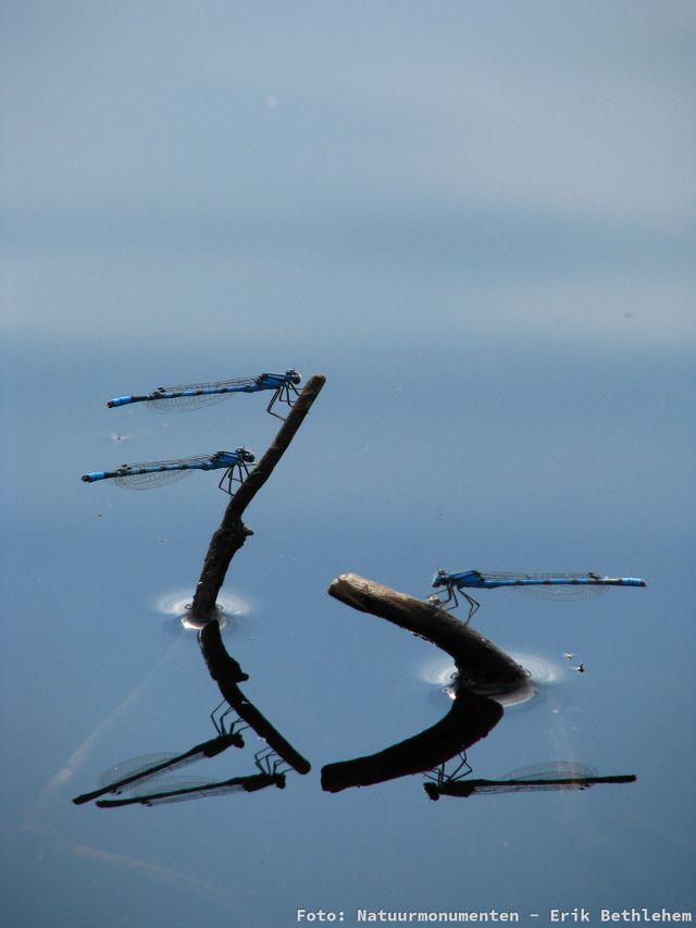 Ontdek de kleine wereld rond het bezoekerscentrum