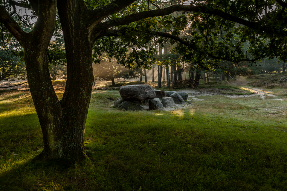 Ein Hunegrab zwischen den Bäumen des Hondsrug UNESCO Global Geopark.
