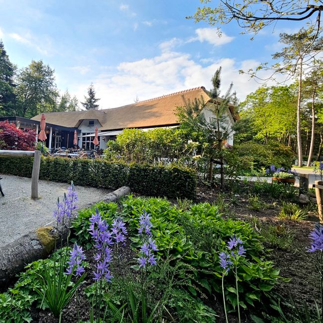 Soerel met bloemen