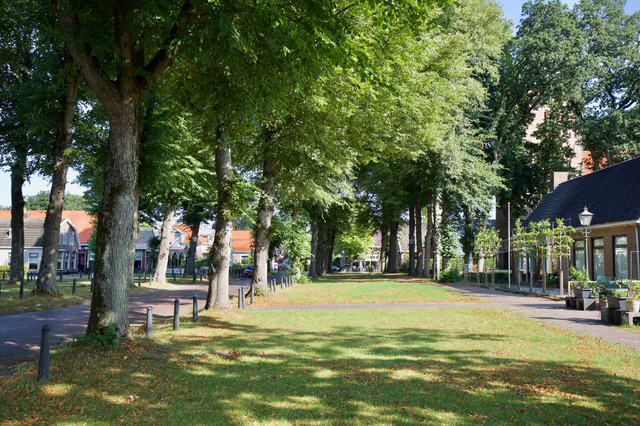 De brink in Vries