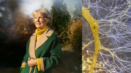 Foto Prinses Irene: Anouk van Kalmthout. Met dank aan het Nationaal Bomenmuseum Gimborn. Tineke van der Pouw Kraan, Verborgen netwerken uit de bodem: Close-up van mycelium (schimmeldraden).